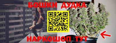 прущие крисы Партизанск