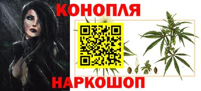 прущие крисы Партизанск