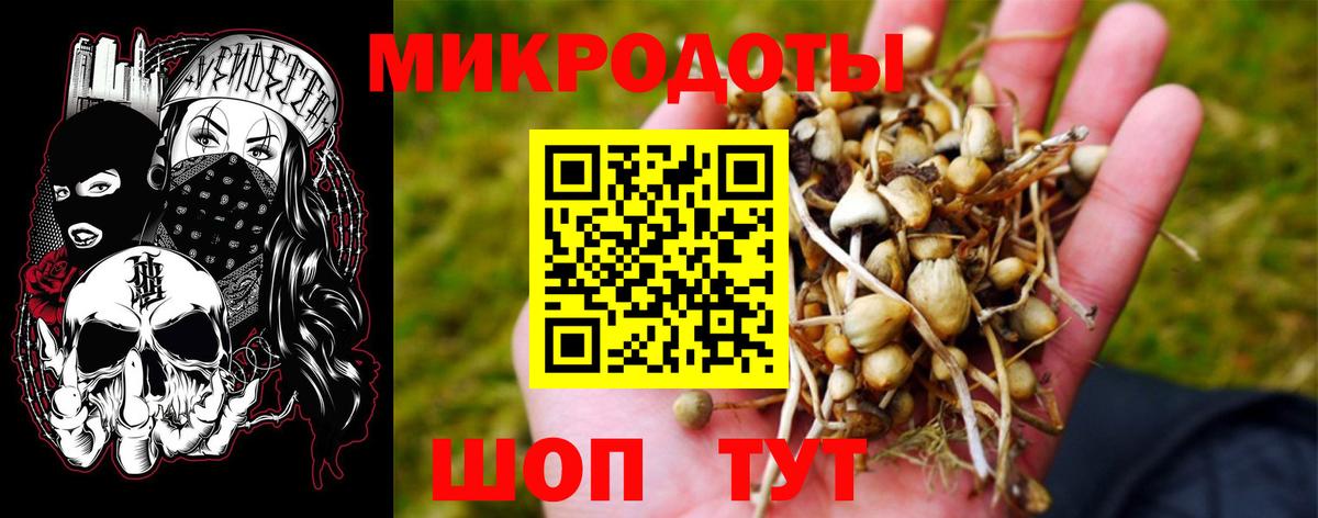 Галлюциногенные грибы Psilocybine cubensis Саров