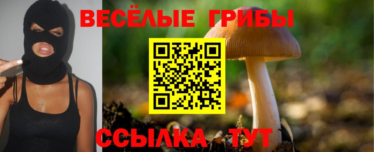 Саров  Галлюциногенные грибы мицелий  Вход с VPN 